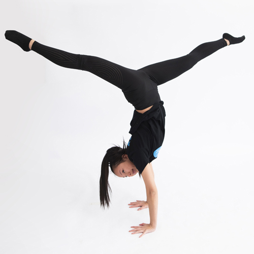 dans docent basic acro